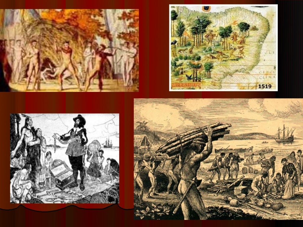 Porque Os Portugueses Exploravam O Pau Brasil