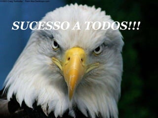 SUCESSO A TODOS!!! 