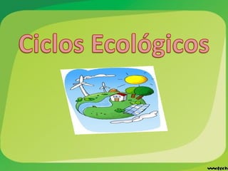 Ciclos Ecológicos (Exposición)