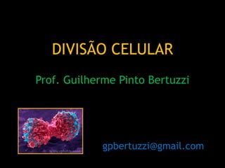 DIVISÃO CELULAR
Prof. Guilherme Pinto Bertuzzi




             gpbertuzzi@gmail.com
 
