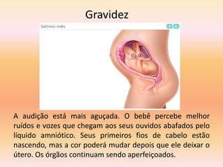 Gravidez
A audição está mais aguçada. O bebê percebe melhor
ruídos e vozes que chegam aos seus ouvidos abafados pelo
líquido amniótico. Seus primeiros fios de cabelo estão
nascendo, mas a cor poderá mudar depois que ele deixar o
útero. Os órgãos continuam sendo aperfeiçoados.
 