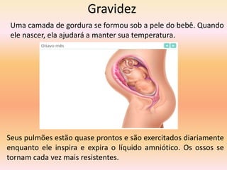 Gravidez
Uma camada de gordura se formou sob a pele do bebê. Quando
ele nascer, ela ajudará a manter sua temperatura.
Seus pulmões estão quase prontos e são exercitados diariamente
enquanto ele inspira e expira o líquido amniótico. Os ossos se
tornam cada vez mais resistentes.
 
