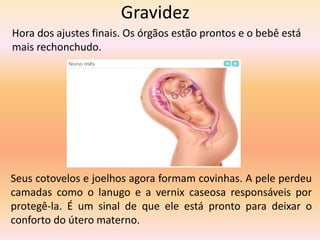 Gravidez
Hora dos ajustes finais. Os órgãos estão prontos e o bebê está
mais rechonchudo.
Seus cotovelos e joelhos agora formam covinhas. A pele perdeu
camadas como o lanugo e a vernix caseosa responsáveis por
protegê-la. É um sinal de que ele está pronto para deixar o
conforto do útero materno.
 