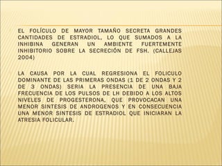  EL FOLÍCULO DE MAYOR TAMAÑO SECRETA GRANDES
CANTIDADES DE ESTRADIOL, LO QUE SUMADOS A LA
INHIBINA GENERAN UN AMBIENTE FUERTEMENTE
INHIBITORIO SOBRE LA SECRECIÓN DE FSH. (CALLEJAS
2004)
 LA CAUSA POR LA CUAL REGRESIONA EL FOLICULO
DOMINANTE DE LAS PRIMERAS ONDAS (1 DE 2 ONDAS Y 2
DE 3 ONDAS) SERIA LA PRESENCIA DE UNA BAJA
FRECUENCIA DE LOS PULSOS DE LH DEBIDO A LOS ALTOS
NIVELES DE PROGESTERONA, QUE PROVOCACAN UNA
MENOR SINTESIS DE ANDROGENOS Y EN CONSECUENCIA
UNA MENOR SINTESIS DE ESTRADIOL QUE INICIARAN LA
ATRESIA FOLICULAR.
 
