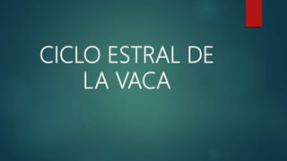 CICLO ESTRAL DE
LA VACA
 