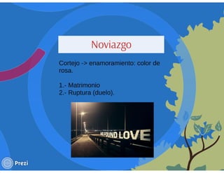 Ciclo evolutivo familiar clasificaciones 