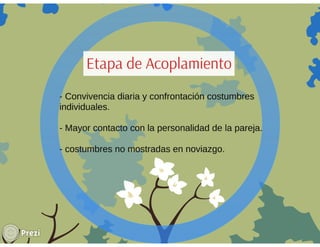 Ciclo evolutivo familiar clasificaciones 