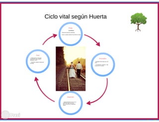 Ciclo evolutivo familiar clasificaciones 