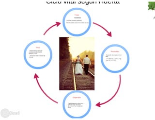 Ciclo evolutivo familiar clasificaciones 