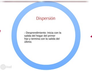 Ciclo evolutivo familiar clasificaciones 