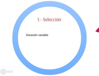 Ciclo evolutivo familiar clasificaciones 