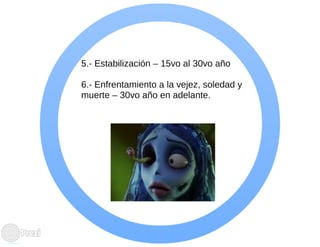 Ciclo evolutivo familiar clasificaciones 