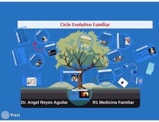 Ciclo evolutivo familiar clasificaciones 