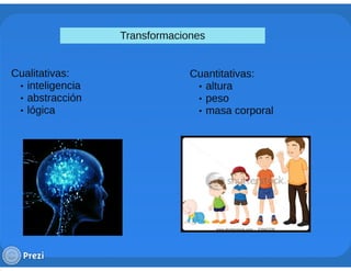 Ciclo evolutivo familiar clasificaciones 