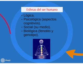 Ciclo evolutivo familiar clasificaciones 