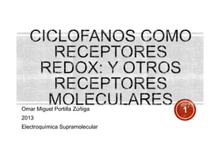 Omar Miguel Portilla Zúñiga
2013
Electroquímica Supramolecular

1

 