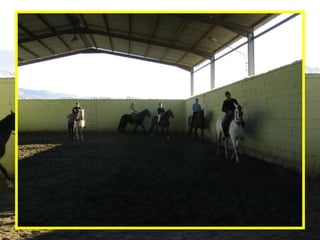 29/04/10 ALF 2009/10