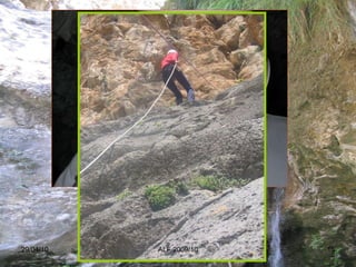 29/04/10 ALF 2009/10