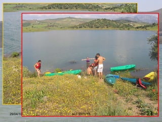 29/04/10 ALF 2009/10