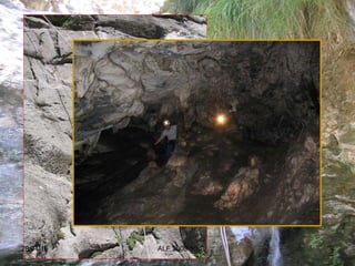 29/04/10 ALF 2009/10