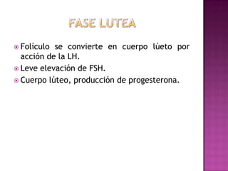  Folículo se convierte en cuerpo lúeto por
acción de la LH.
 Leve elevación de FSH.
 Cuerpo lúteo, producción de progesterona.
 