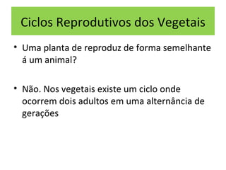 Ciclos Reprodutivos dos Vegetais
• Uma planta de reproduz de forma semelhante
  á um animal?

• Não. Nos vegetais existe um ciclo onde
  ocorrem dois adultos em uma alternância de
  gerações
 