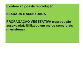 Existem 2 tipos de reprodução:

SEXUADA e ASSEXUADA

PROPAGAÇÃO VEGETATIVA (reprodução
assexuada): Utilizado em meios comerciais
(meristema)
 