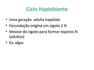 Ciclo Haplobionte
• Uma geração adulta haplóide
• Fecundação origina um zigoto 2 N
• Meiose do zigoto para formar esporos N
  (adultos)
• Ex: algas
 
