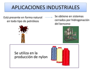 APLICACIONES INDUSTRIALES
Está presente en forma natural   Se obtiene en sistemas
   en todo tipo de petróleos     cerrados por hidrogenación
                                 del benceno




        Se utiliza en la
        producción de nylon
 