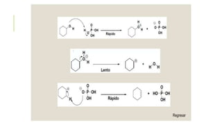 CICLOHEXENO TRABAJO DE QUIMICA ORGANICA.pptx