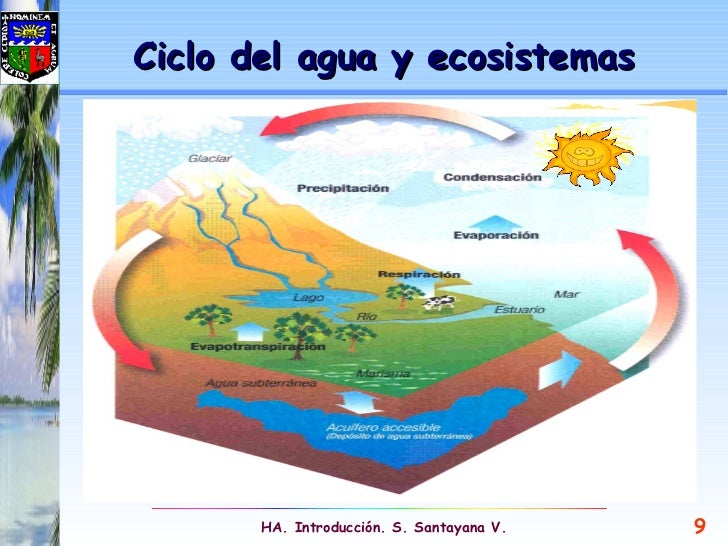 La Importancia Del Agua En Los Ecosistemas: Un Recurso Vital. – QUPK