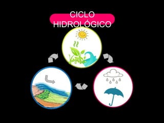 Ciclo Hidrologico