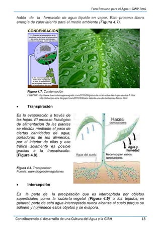 Foro Peruano para el Agua—GWP Perú
Contribuyendo al desarrollo de una Cultura del Agua y la GIRH 13
habla de la formación de agua líquida en vapor. Este proceso libera
energía de calor latente para el medio ambiente (Figura 4.7).
Figura 4.7. Condensación
Fuente: http://www.bancodeimagenesgratis.com/2010/08/gotas-de-rocio-sobre-las-hojas-verdes-7.html
http://elhocino-adra.blogspot.com/2012/03/calor-latente-una-de-fantasmas-fisicos.html
 Transpiración
Es la evaporación a través de
las hojas. El proceso fisiológico
de alimentación de las plantas
se efectúa mediante el paso de
ciertas cantidades de agua,
portadoras de los alimentos,
por el interior de ellas y ese
tráfico solamente es posible
gracias a la transpiración.
(Figura 4.8).
Figura 4.8. Transpiración
Fuente: www.biogeodemagallanes
 Intercepción
Es la parte de la precipitación que es interceptada por objetos
superficiales como la cubierta vegetal (Figura 4.9) o los tejados, en
general, parte de esta agua interceptada nunca alcanza al suelo porque se
adhiere y humedece estos objetos y se evapora.
 