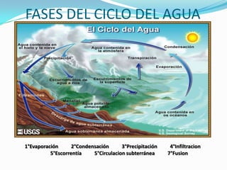 FASES DEL CICLO DEL AGUA1°Evaporación          2°Condensación          3°Precipitación          4°Infiltracion          5°Escorrentía          5°Circulacion subterránea          7°Fusion            