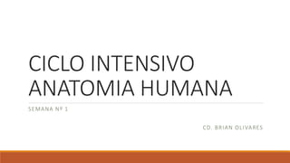 CICLO INTENSIVO
ANATOMIA HUMANA
SEMANA Nº 1
CD. BRIAN OLIVARES
 