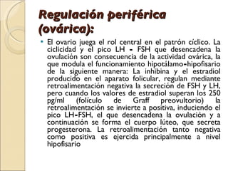 Regulación periférica (ovárica):  El ovario juega el rol central en el patrón cíclico. La ciclicidad y el pico LH  -  FSH que desencadena la ovulación son consecuencia de la actividad ovárica, la que modula el funcionamiento hipotálamo - hipofisario de la siguiente manera: La inhibina y el estradiol producido en el aparato folicular, regulan mediante retroalimentación negativa la secreción de FSH y LH, pero cuando los valores de estradiol superan los 250 pg/ml (folículo de Graff preovultorio) la retroalimentación se invierte a positiva, induciendo el pico LH - FSH, el que desencadena la ovulación y a continuación se forma el cuerpo lúteo, que secreta progesterona. La retroalimentación tanto negativa como positiva es ejercida principalmente a nivel hipofisario 