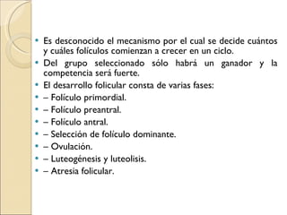 Es desconocido el mecanismo por el cual se decide cuántos y cuáles folículos comienzan a crecer en un ciclo. Del grupo seleccionado sólo habrá un ganador y la competencia será fuerte. El desarrollo folicular consta de varias fases: –  Folículo primordial. –  Folículo preantral. –  Folículo antral. –  Selección de folículo dominante. –  Ovulación. –  Luteogénesis y luteolisis. –  Atresia folicular. 