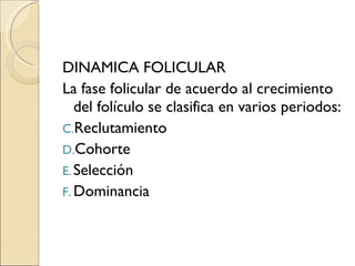 DINAMICA FOLICULAR La fase folicular de acuerdo al crecimiento del folículo se clasifica en varios periodos: Reclutamiento Cohorte Selección  Dominancia 