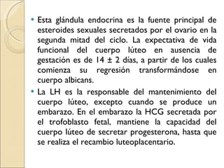 Esta glándula endocrina es la fuente principal de esteroides sexuales secretados por el ovario en la segunda mitad del ciclo. La expectativa de vida funcional del cuerpo lúteo en ausencia de gestación es de 14 ± 2 días, a partir de los cuales comienza su regresión transformándose en cuerpo albicans. La LH es la responsable del mantenimiento del cuerpo lúteo, excepto cuando se produce un embarazo. En el embarazo la HCG secretada por el trofoblasto fetal, mantiene la capacidad del cuerpo lúteo de secretar progesterona, hasta que se realiza el recambio luteoplacentario. 
