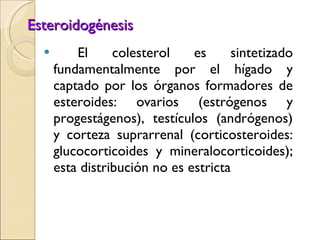 Esteroidogénesis El colesterol es sintetizado fundamentalmente por el hígado y captado por los órganos formadores de esteroides: ovarios (estrógenos y progestágenos), testículos (andrógenos) y corteza suprarrenal (corticosteroides: glucocorticoides y mineralocorticoides); esta distribución no es estricta 