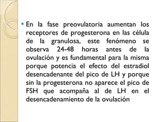 En la fase preovulatoria aumentan los receptores de progesterona en las célula de la granulosa, este fenómeno se observa 24-48 horas antes de la ovulación y es fundamental para la misma porque potencia el efecto del estradiol desencadenante del pico de LH y porque sin la progesterona no aparece el pico de FSH que acompaña al de LH en el desencadenamiento de la ovulación 