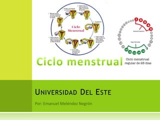 Ciclo menstrual Universidad Del Este Por: Emanuel Meléndez Negrón  