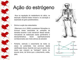 Ação do estrógeno Atua na regulação do metabolismo do cálcio, na absorção intestinal deste mineral e na secreção e expressão do gene paratireoidiano. Diminui a ação dos osteoclastos. Zittermann  et al . (2000) constataram flutuações no  turnover  ósseo associadas às variações de estradiol durante o ciclo menstrual. Nesse estudo, marcadores de reabsorção óssea (piridinolina e deoxipiridinolina) foram significativamente correlacionados aos níveis séricos de estradiol. Portanto, estimula o crescimento de todos os ossos na puberdade, mas promove rápida calcificação óssea, fazendo com que as partes dos ossos que crescem se "extingam" dentro de poucos anos, de forma que o crescimento, então, pára.  