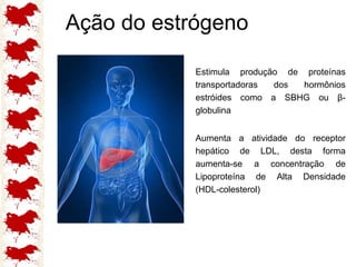 Ação do estrógeno Estimula produção de proteínas transportadoras dos hormônios estróides como a SBHG ou β-globulina Aumenta a atividade do receptor hepático de LDL, desta forma aumenta-se a concentração de Lipoproteína de Alta Densidade (HDL-colesterol) 