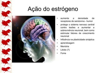 Ação do estrógeno aumenta a densidade de receptores de serotonina - humor protege o sistema nervoso central contra lesões e aumentar a sobrevivência neuronal, bem como estimular fatores de crescimento neuronal Influência na plasticidade sináptica aprendizagem Memória Libido (?) Fome 