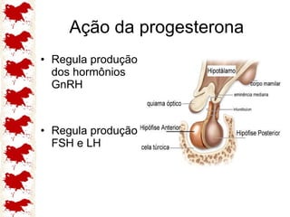 Ação da progesterona Regula produção dos hormônios GnRH Regula produção FSH e LH 