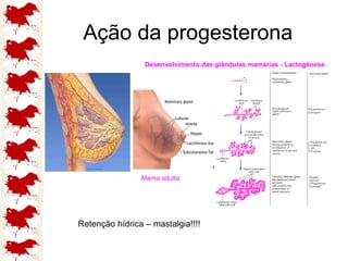 Ação da progesterona Retenção hídrica – mastalgia!!!! 