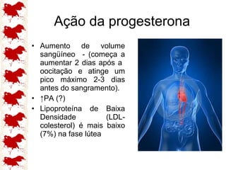 Ação da progesterona Aumento de volume sangüíneo  - (começa a aumentar 2 dias após a  oocitação e atinge um pico máximo 2-3 dias antes do sangramento).  ↑ PA (?) Lipoproteína de Baixa Densidade (LDL-colesterol) é mais baixo (7%) na fase lútea 