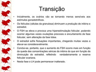 Transição Inicialmente, os ovários vão se tornando menos sensíveis aos estímulos gonadotróficos.  Os folículos (células da granulosa) diminuem a produção de inibina e estradiol.  O FSH se eleva e provoca uma hiperestimulação folicular, podendo ocorrer algumas vezes ovulações precoces e encurtamento da fase folicular, sem alteração da fase lútea. O estradiol sofre flutuações importantes, chegando muitas vezes a elevar-se consideravelmente.  Conclui-se, portanto, que o aumento do FSH ocorre mais em função da queda das concentrações séricas da inibina do que em função da diminuição do estradiol, refletindo  verdadeiramente a reserva folicular ovariana.  Nesta fase o LH pode permanecer inalterado. 
