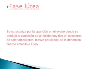 Fase lúteaSe caracteriza por la aparición en el ovario donde seprodujo la ovulación de un tejido muy rico en colesterol,de color amarillento, motivo por el cual se lo denominacuerpo amarillo o lúteo. 